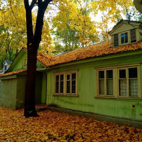 Autumn decoration