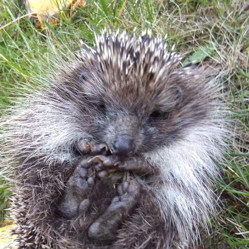 Photo #6558953