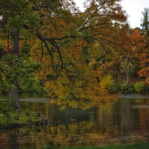 Photo #6558970