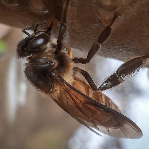 Photo #6559009