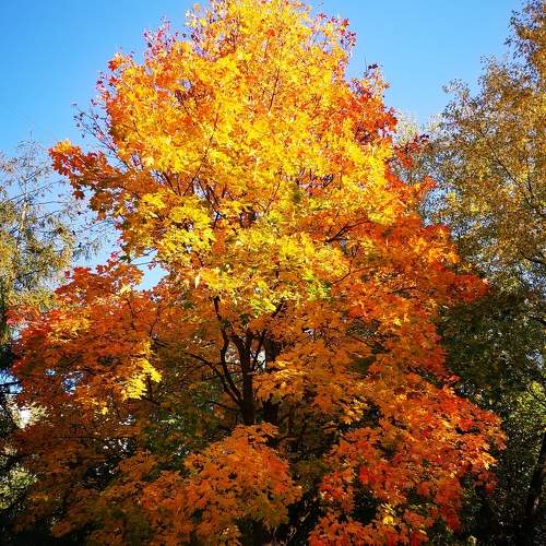 Photo #6559263