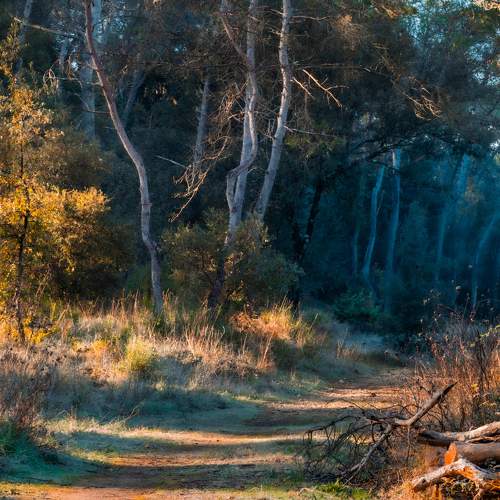 Photo #6559319