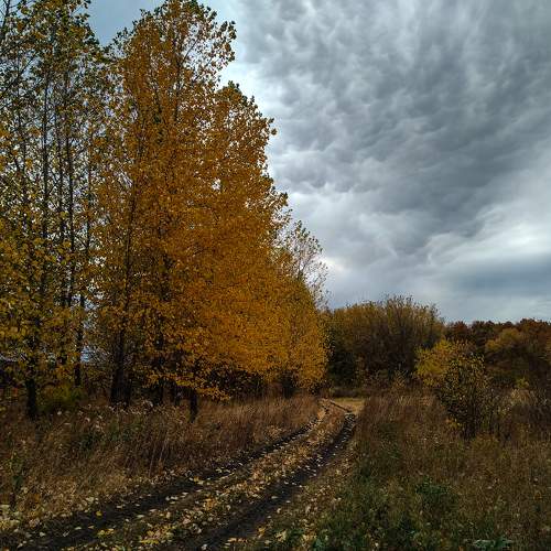 Photo #6559407