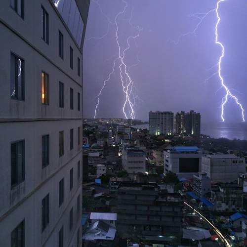 Photo #6559632