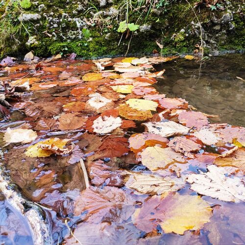 Photo #6559903