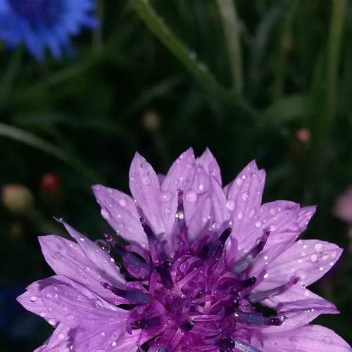 Photo #6559940