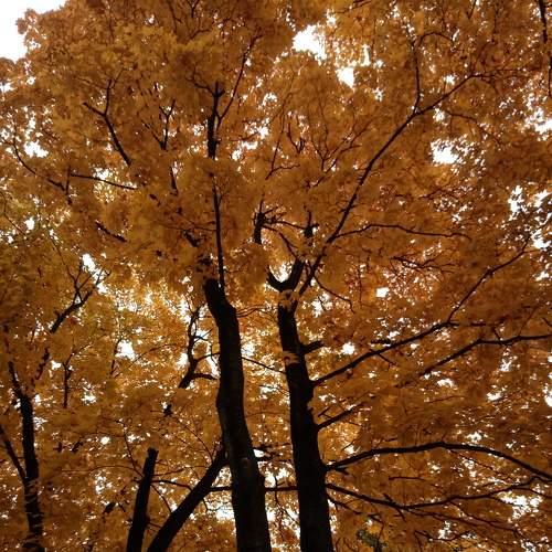 Photo #6559951