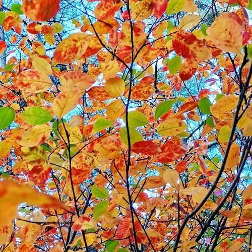 Photo #6560039