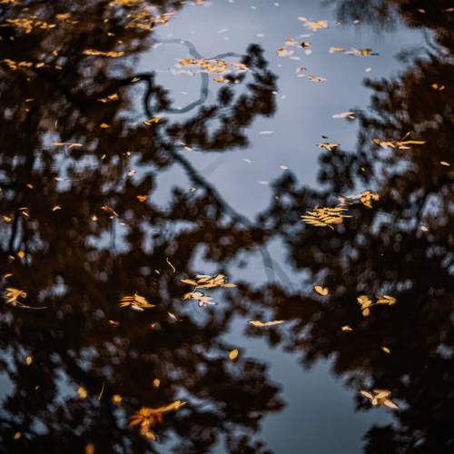 Photo #6560178