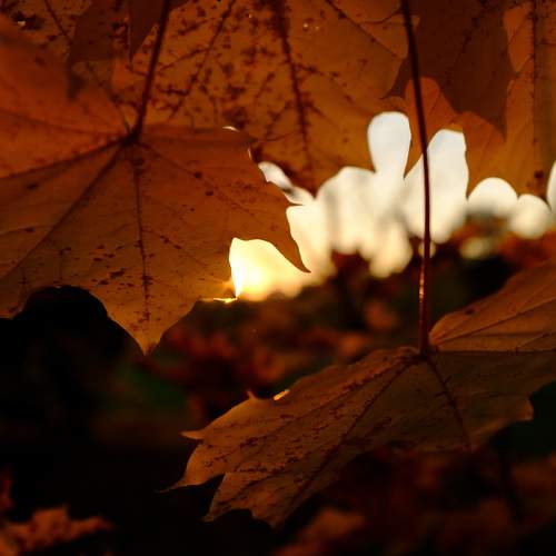 Photo #6560273