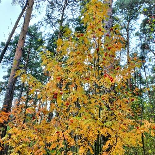 Photo #6560288