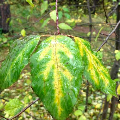 Photo #6560299
