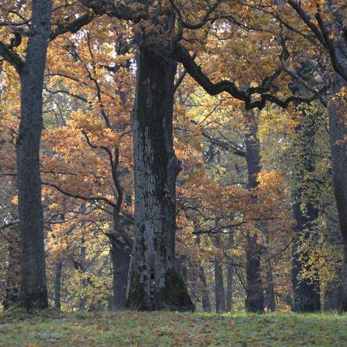 Photo #6560346