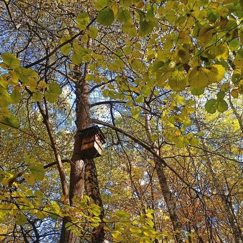 Photo #6560578