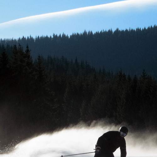 Photo #6560665