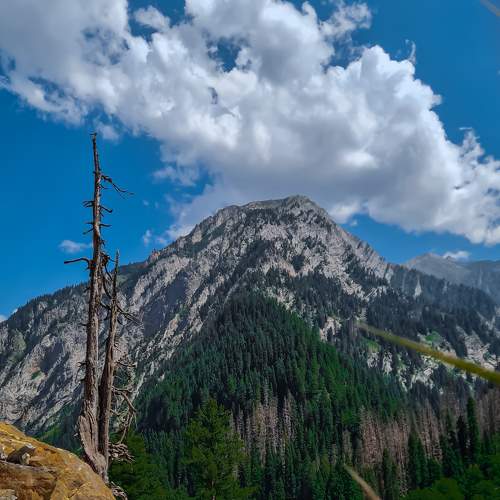 Photo #6560851