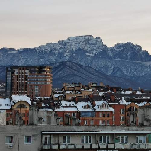 Photo #6560897