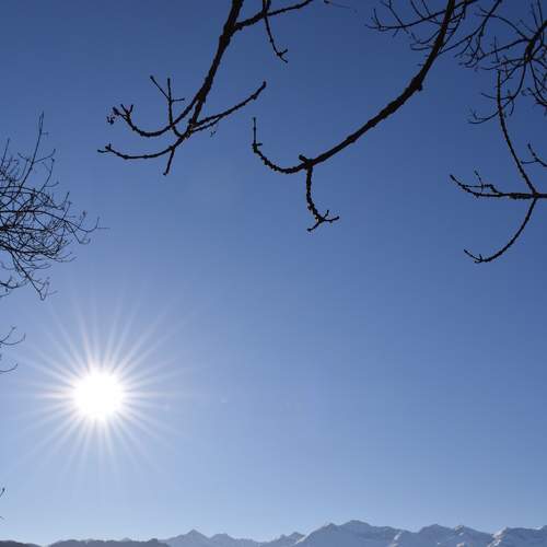 Photo #6561029