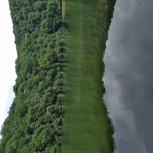 Photo #6561058