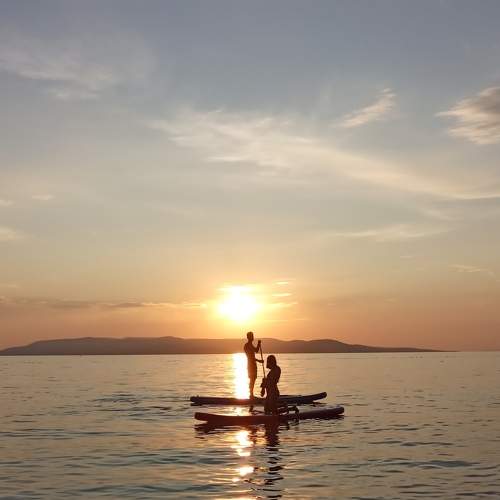 Photo #6561305