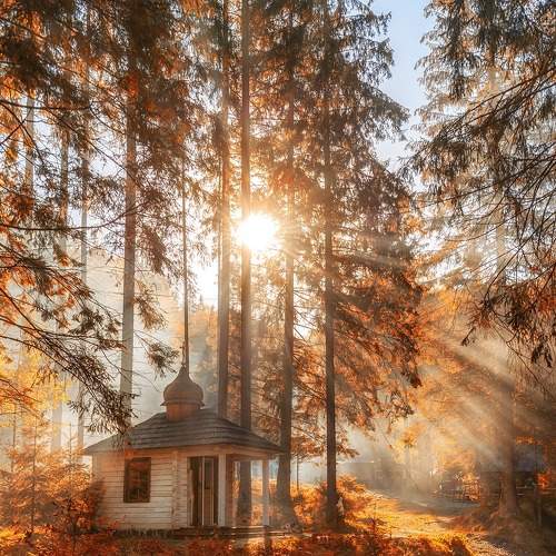 Фотография #6561408