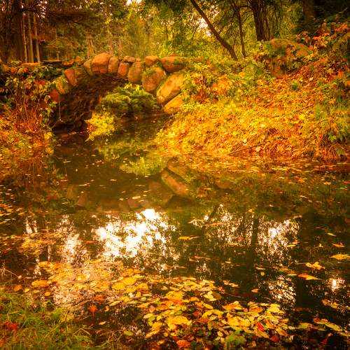 Photo #6561413