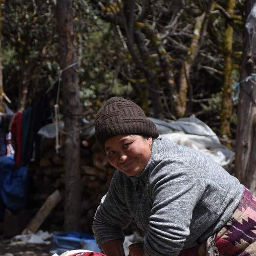 Photo #6561508