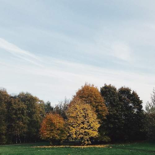 Photo #6561594
