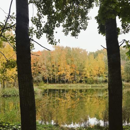 Photo #6561595