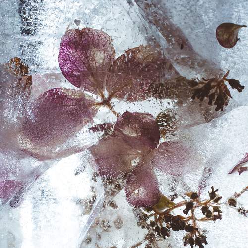 Photo #6561702
