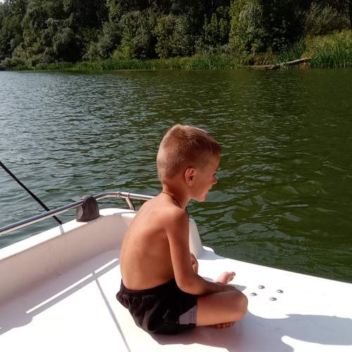 Photo #6561976