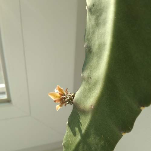 Photo #6562075