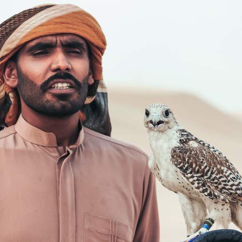 The Hawk Man