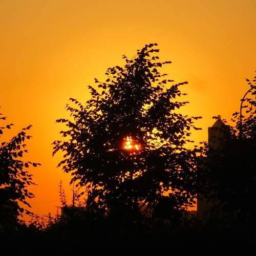 Photo #6562101