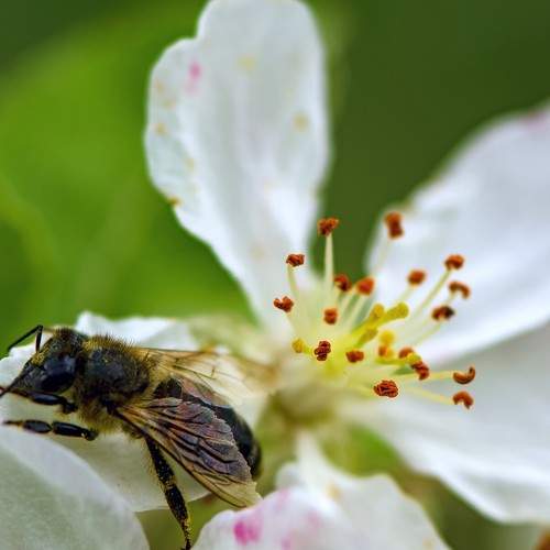 Photo #6562368