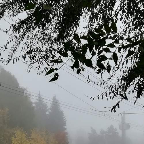Photo #6562788