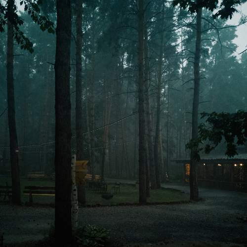 Photo #6562802