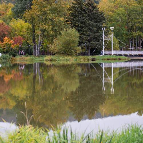 Photo #6563241