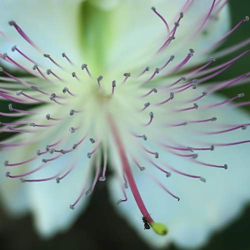 Фотография #6563541