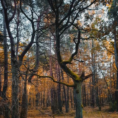 Photo #6563684