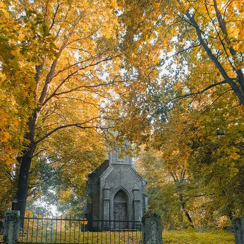 Photo #6563692