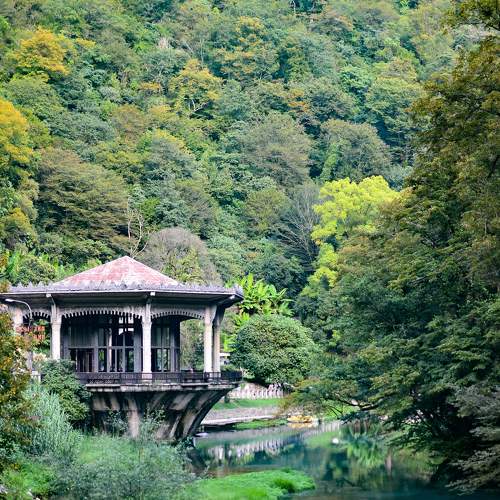 Photo #6563763