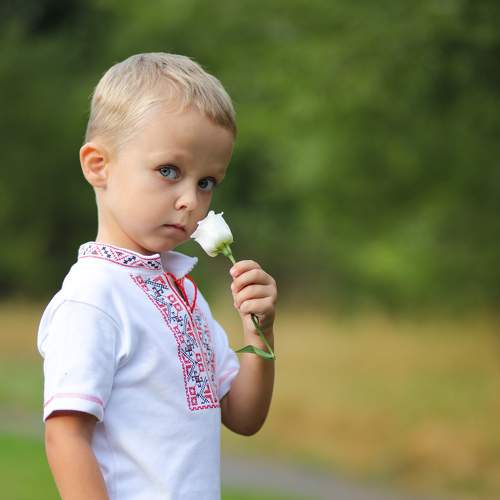 Photo #6563870
