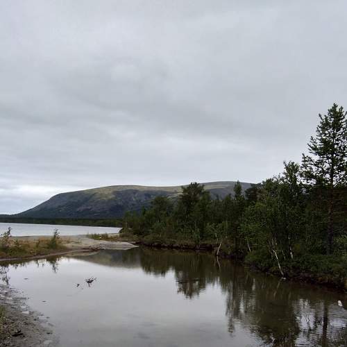 Photo #6563879