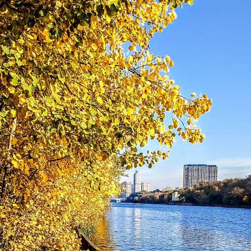Photo #6563913