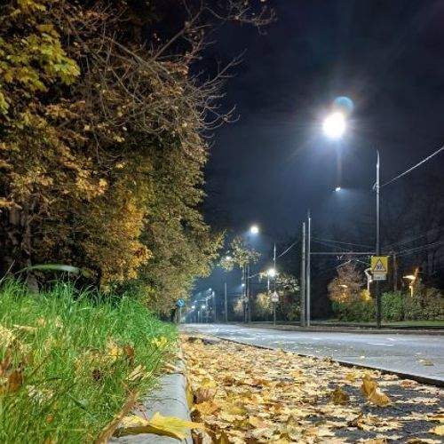 Photo #6563917
