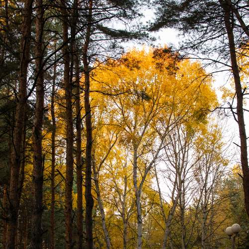 Photo #6564122
