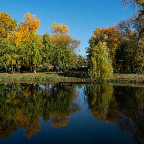 Photo #6564127