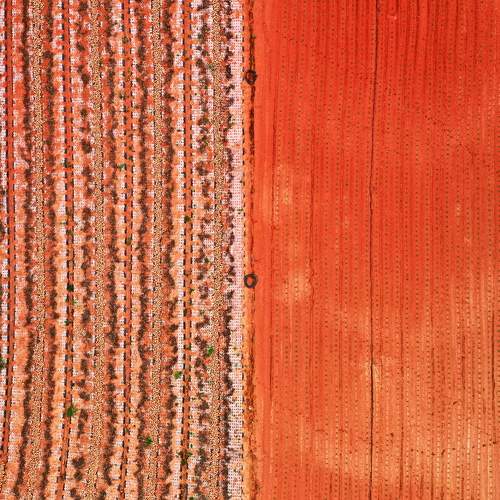 Photo #6564145