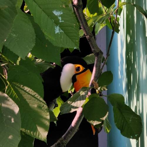Photo #6564261